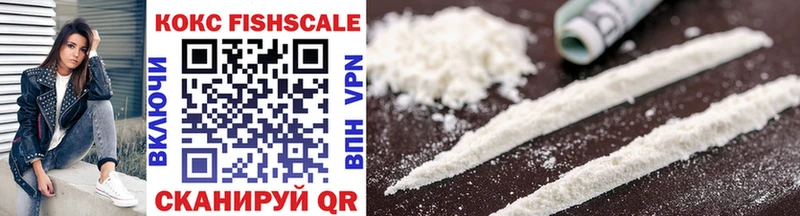 сколько стоит  OMG ССЫЛКА  Cocaine FishScale  Новоалтайск 