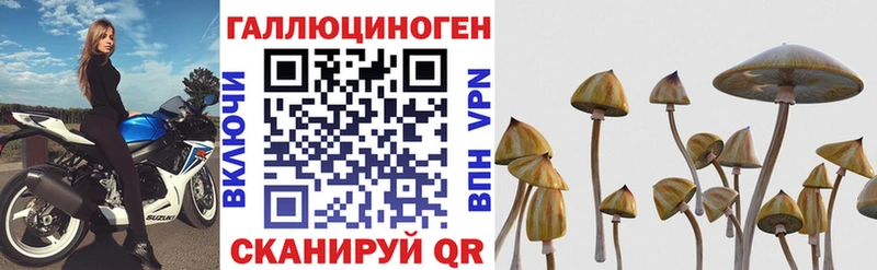 Псилоцибиновые грибы Magic Shrooms  мега как зайти  Новоалтайск 
