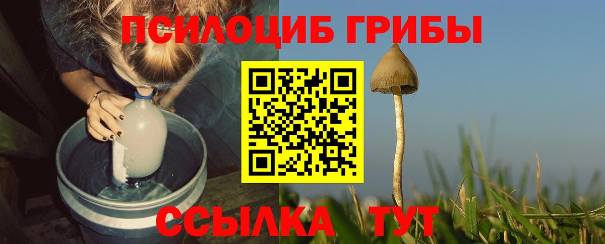 Галлюциногенные грибы мухоморы Новоалтайск